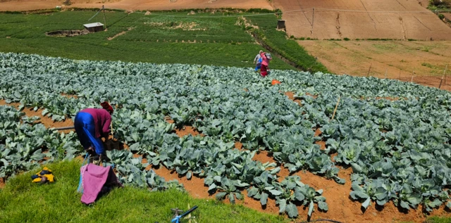 உதகை ஊட்டி கோடை வெப்பம்