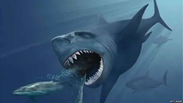 మెగలోడాన్