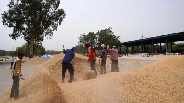 ভারতে অনিয়মিত মনসুনের জন্য এবারে ধানের ফলন মার খেয়েছে