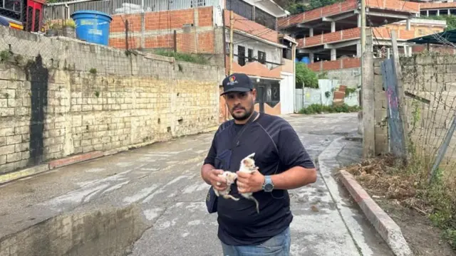 Homem venezuelano segura dois filhotesfsa apostas esportivasgato nas mãos