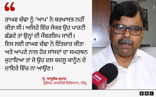 ਪ੍ਰੋ. ਆਸ਼ੂਤੋਸ਼ ਦੀ ਟਿੱਪਣੀ