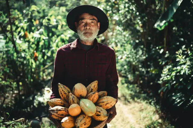 कोको की खेती करने वाला एक किसान