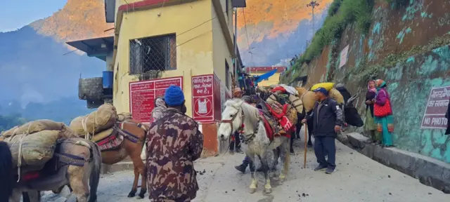 चिसो मौसम सुरु भएसँगै दैलेखको व्याँस गाउँपालिका–१ टिङ्करका व्याँसी सौका समुदाय पशुचौपायासहित खलङ्गा झर्दै 