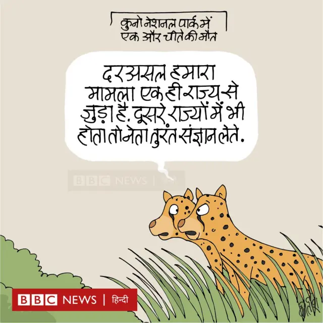 कार्टून