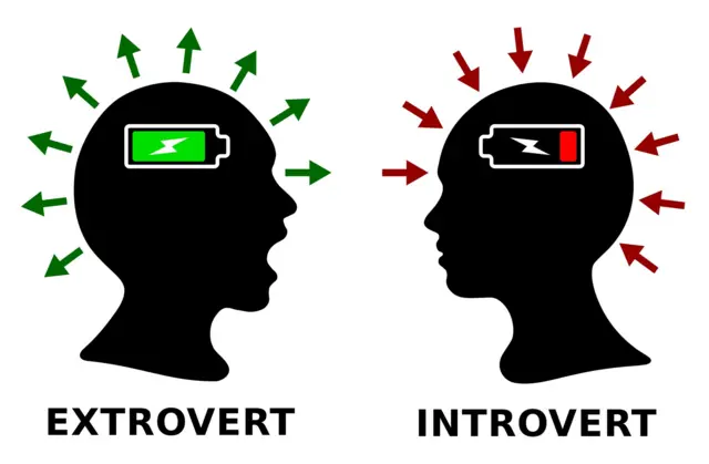 इन्ट्रोव्हर्ट एक्स्ट्रोव्हर्ट 
