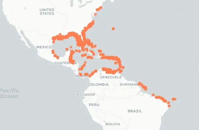 Ferramenta colaborativa organizada pelos pesquisadores mostra dispersão do peixe-leão no litoral do Atlântico