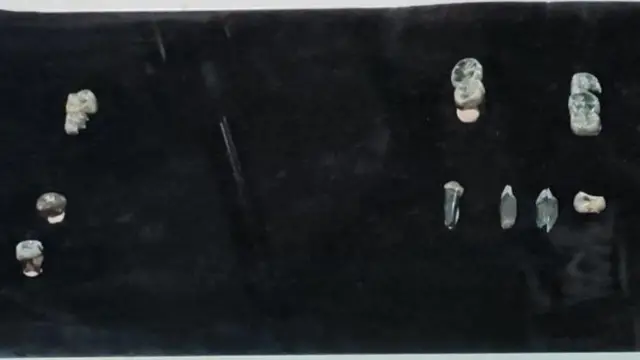  ግኝቱ ይፋ በተደረገበት ወቅት በኢትዮጵያ ቅርስ ባለሥልጣን ለዕይታ የቀረቡት ቅሪተ አካላት