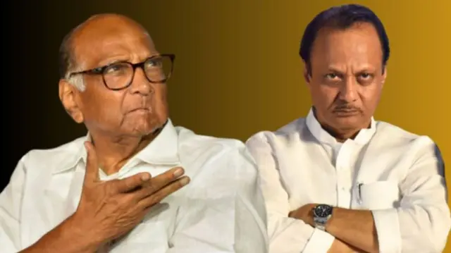 शरद पवार-अजित पवार