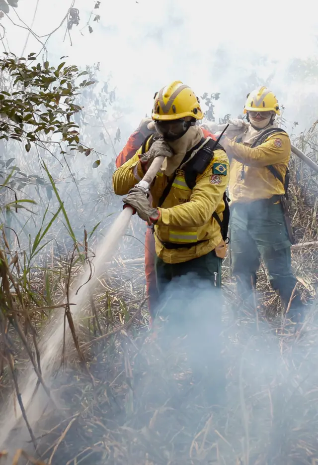 Brigadistas usam mangueiras para debelar fogo em área de mato alto