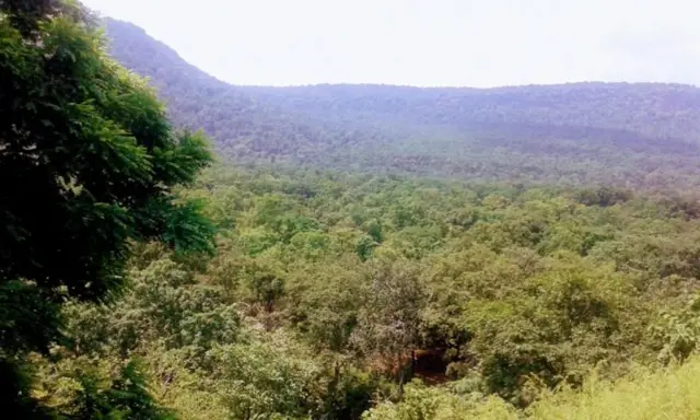 प्रतीकात्मक फोटो