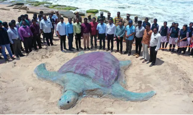 கடல் ஆமைகள் குஞ்சு பொரித்தல்