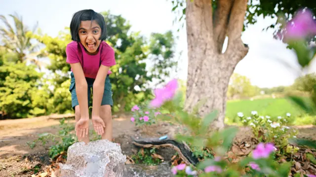 प्रातिनिधिक फोटो