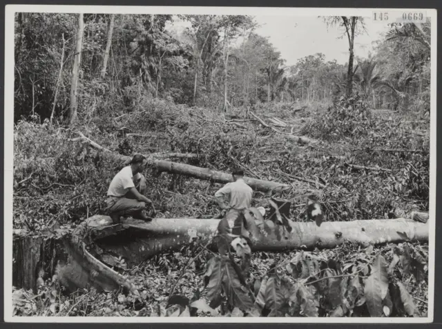 Koembe, Merauke, psn, papua