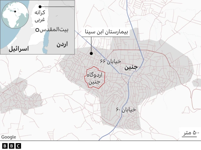 نقشه جنین