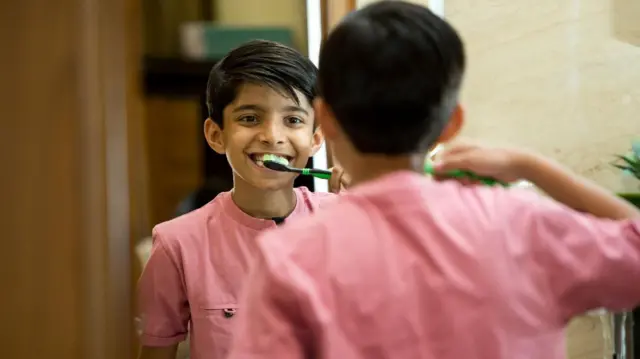 ਬੁਰਸ਼ ਕਰਨਾ
