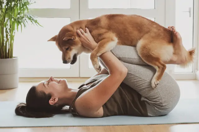 डोगा म्हणजे डॉग योगा. डोगामध्ये कुत्र्यासोबत करायला विशेष आसनंसुद्धा डिझाईन करण्यात आली आहेत.