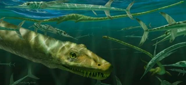 A artista Marlene Donelly recriou uma cena do Dinocephalosaurus orientalis nadando com peixes pré-históricos
