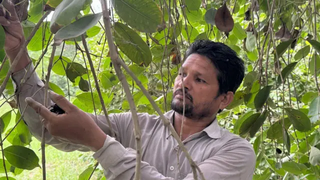 ਠੇਕੇਦਾਰ ਗੋਪੀ ਚੰਦ 