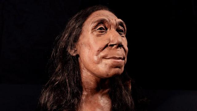 3D-модель неандертальської жінки