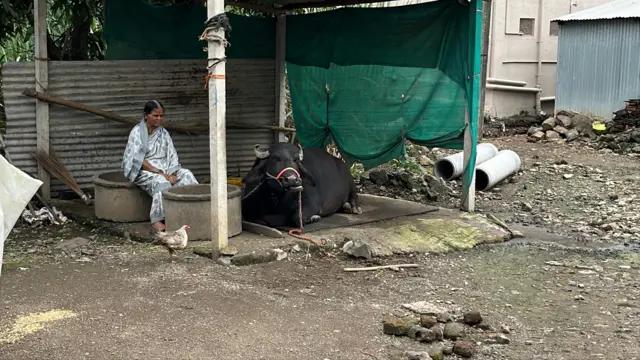 गुलाबरावांचा गोठा 