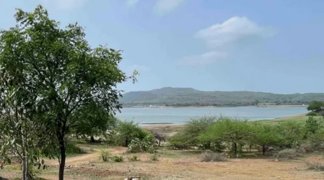 مدھووانتی ڈیم