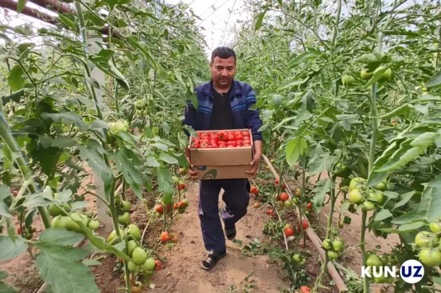 Porno eng uzun jinsiy olatni kichik qiz