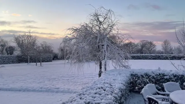Un campo está cubierto de nieve blanca. Se pueden ver muebles de patio en la parte inferior derecha del marco, cubiertos de nieve. Un arbusto separa los muebles de un campo donde hay un árbol en el centro, también cubierto de nieve. Hay una luz brillante con nubes parciales.