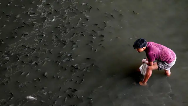 థాయ్ ప్రభుత్వం,థాయ్ ప్రజలు