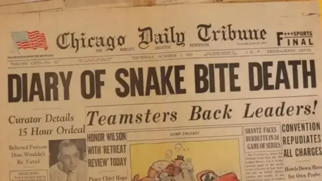 Snake bite