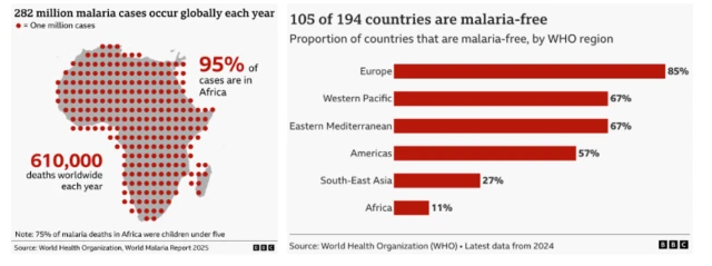 Graphic map of Africa wey highlight say 282 million malaria cases dey occur globally each year, and 95% for Africa. Anoda slide show say 85% of Europe, 67% of di Western Pacific, 67% of di Eastern Mediterranean, 57% of di Americas, 27% of South-East Asia and 11% of Africa dey malaria-free. Both credit di World Health Organisation. 