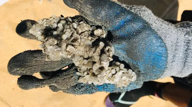 වෙරළෙන් ලබා ගන්නා මුහුදු වැලි කිහිප වරක් ගැරීමට ලක් කර අපද්‍රව්‍ය වෙන් කරගන්නා අතර ඉන් පසුව එම අපද්‍රව්‍ය වතුරට දමා අවශ්‍ය ප්ලාස්ටි ඇට හා පිලිස්සී ගිය කැබලි එක්කාසු කර ගනී.