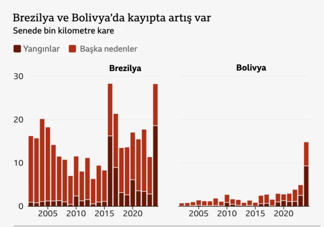 Tropik ormanların yok oluş hızını gösteren grafik