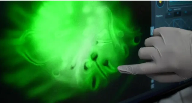 ਐਟਲਸ ਸੈੱਲ