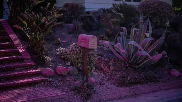 За останній тиждень над Лос-Анджелесом і його передмістями розпорошили тисячі галонів речовини під назвою антипірен