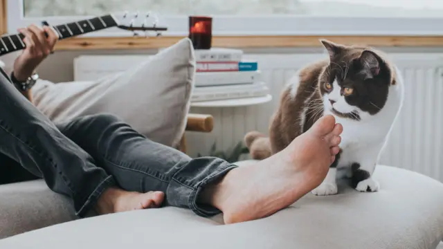 Чоловік грає на гітарі, сидячи на дивані. Кіт сидить на підніжці й торкається носом його пальців ніг