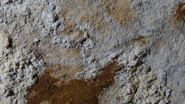 Dört parmaklı bir el çizimi resmi kireç taşının üzerinde hayal meyal görülüyor.