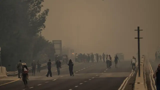سكان على طريق رئيسي قرب حرائق اندلعت في غابات بين القدس وتل أبيب