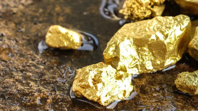 திருவண்ணாமலையில் நிலத்துக்கு அடியில் தங்கம் இருக்கிறதா? உண்மை என்ன?