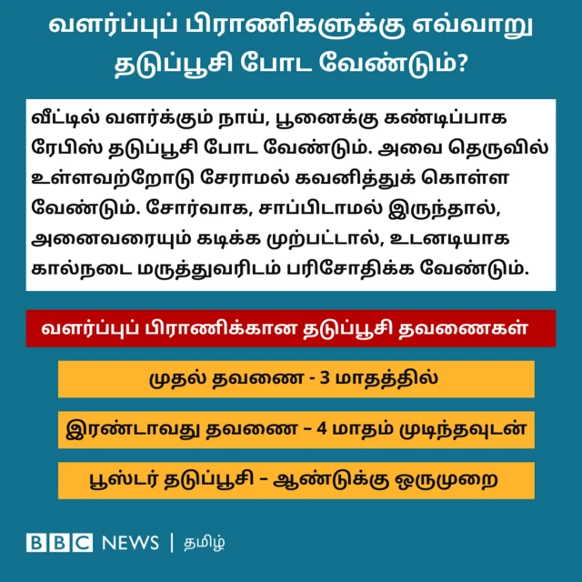 வளர்ப்புப் பிராணிகளுக்கு எவ்வாறு தடுப்பூசி போட வேண்டும்? வீட்டில் நாய், பூனை வளர்ப்பவர்கள் கண்டிப்பாக ரேபிஸ் தடுப்பூசி போட வேண்டும். தெருநாய்களுடன் வீட்டு நாய்கள் சேராமல் கவனித்துக் கொள்ள வேண்டும். வளர்ப்புப் பிராணி சோர்வாகவோ, சாப்பிடாமலோ இருந்தால், அனைவரையும் கடிக்க முற்பட்டால், உடனடியாக கால்நடை மருத்துவரிடம் பரிசோதிக்க வேண்டும். வளர்ப்புப் பிராணிக்கான தடுப்பூசி தவணைகளைப் பொறுத்தவரை, முதல் தவணையை குட்டி பிறந்து 3 மாதத்திலும், இரண்டாவது தவணை 4 மாதம் முடிந்தவுடனும் போட வேண்டும். பிறகு ஆண்டுக்கு ஒருமுறை பூஸ்டர் தடுப்பூசி அவசியம் போட வேண்டும்.