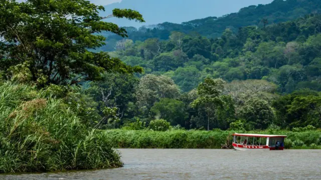 Un barco turístico navega un lago en un entorno natural de Costa Rica