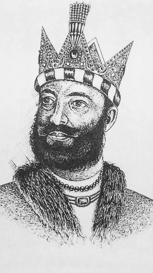 మహమూద్ గజనీ, భారతదేశం