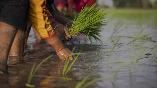 प्रातिनिधिक फोटो