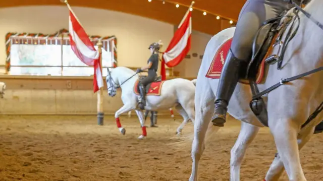 په نړۍ کې یو له هغو لږو هوټلونو څخه دی چې د "لیپیزانر" (Lipizzaner) نسل آسونو د روزنې او سپرېدو (Horse Riding) ښوونځی لري.