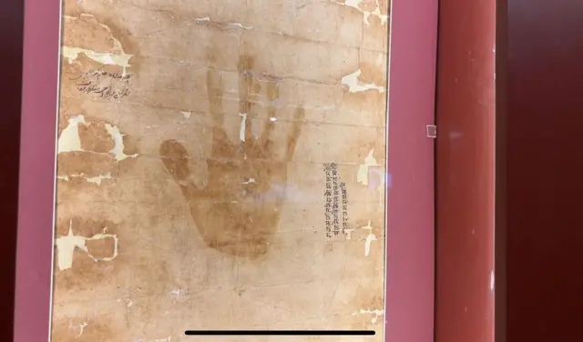 हाताचा पंजा