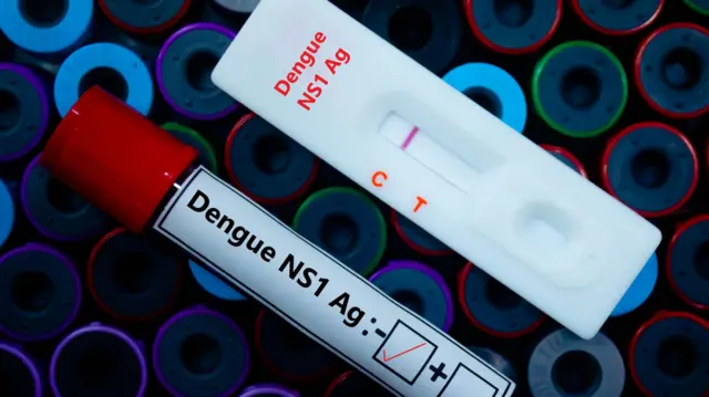 শিশু, গর্ভবতী নারী এবং দীর্ঘস্থায়ী রোগাক্রান্ত ব্যক্তিদের ডেঙ্গুজ্বরে আক্রান্তের ঝুঁকি বেশি