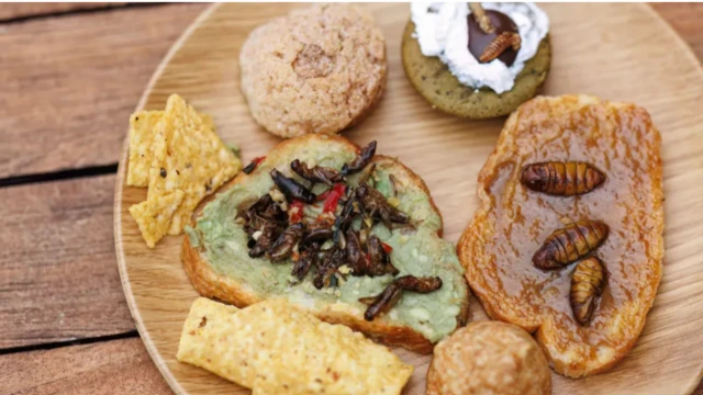 பூச்சிகளின் இயற்கையான வாசத்தை மறைக்க யுக்திகள்