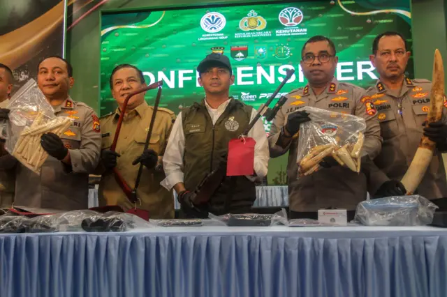 Menteri Kehutanan Raja Juli Antoni (tengah) didampingi Plt Gubernur Riau SF Hariyanto (kedua kiri), Kadiv Humas Polri Irjen Pol Johnny Isir (kedua kanan), Penyidik Utama Bareskrim Polri Irjen Pol Zulkarnaen (kanan) dan Kapolda Riau Irjen Pol Hery Heryawan (kiri) memperlihatkan barang bukti berupa alat buru dan gading Gajah Sumatra (Elephas maximus sumatranus) saat pengungkapan kasus jaringan perburuan Gajah Sumatra di Polda Riau, di Pekanbaru, Riau, Selasa (3/3/2026). Polda Riau menangkap 15 orang tersangka sindikat perburuan Gajah Sumatra dan tiga orang masih dalam pencarian (DPO) serta menyita barang bukti berupa gading dan tulang belulang Gajah Sumatra. 