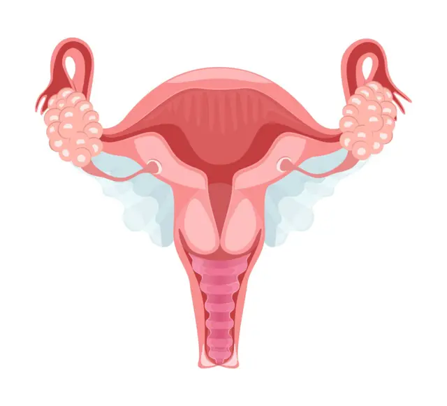 ఎఫ్జీఎం, మహిళలు, సున్తీ, ఆరోగ్యం