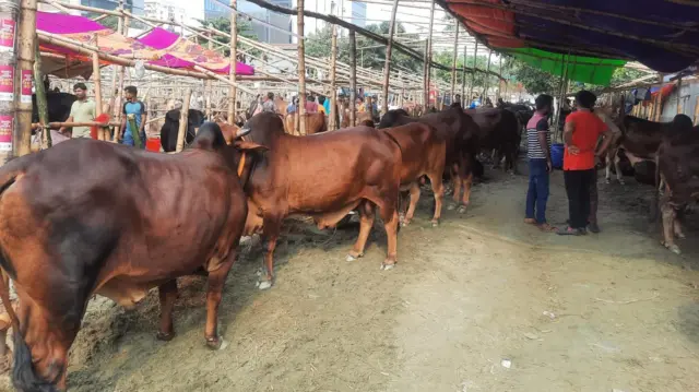 তেজগাঁও হাট