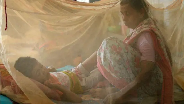 দেশে এ বছরই এক হাজারের মতো মানুষ ডেঙ্গুতে আক্রান্ত হয়ে মারা গেছেন।